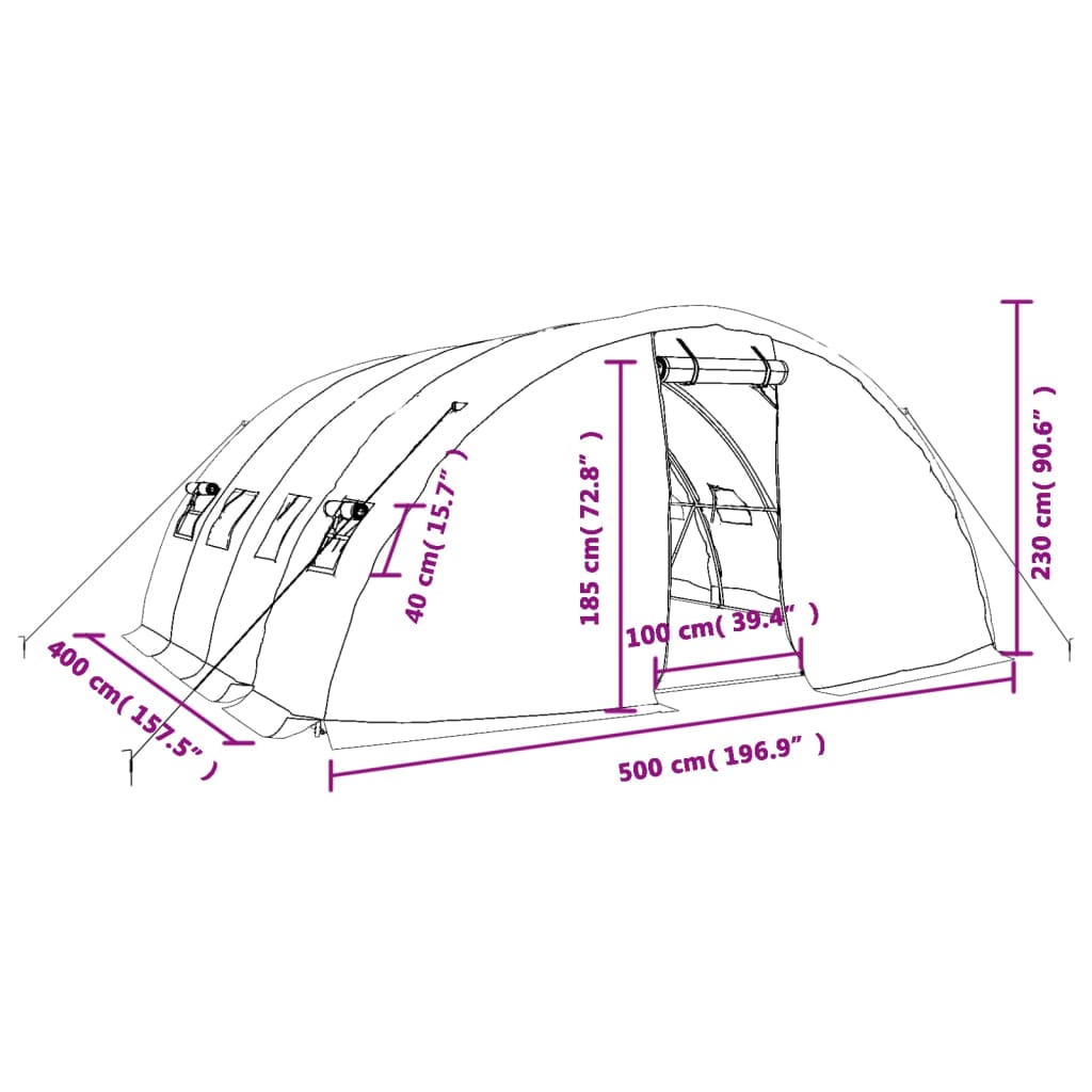 Tuinkas met stalen frame 20 m² 5x4x2,3 m wit